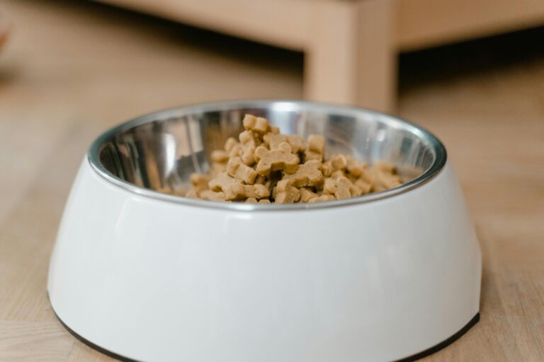 A stainless steel dog bowl filled with dry dog treats on a wooden floor.